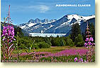 Mendenhall Glacier, Juneau AK