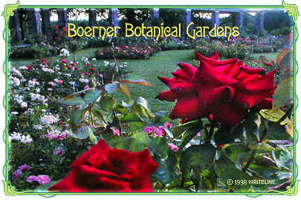 All images Copyright © 1997 - 2000 WriteLine. All Rights Reserved. Rose Garden