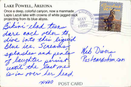 All images Copyright © 1997 - 2000 WriteLine. All Rights Reserved. Cactus Wren