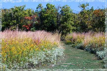 All images Copyright © 1997 - 2000 WriteLine. All Rights Reserved. Lincoln Mem Gardens