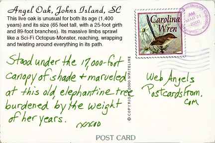 All images Copyright &copy; 1997 - 2000 WriteLine. All Rights Reserved.