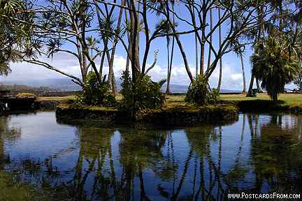 All images Copyright &copy; 1997 - 2000 WriteLine. All Rights Reserved.