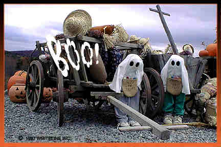 All images Copyright &copy; 1997 - 2000 WriteLine. All Rights Reserved.