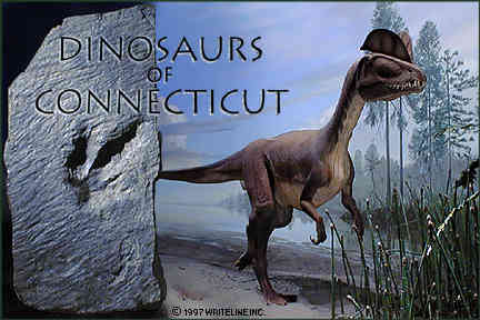 All images Copyright &copy; 1997 - 2000 WriteLine. All Rights Reserved.