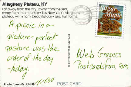 All images Copyright &copy; 1997 - 2000 WriteLine. All Rights Reserved. Sugar Maple stamp
