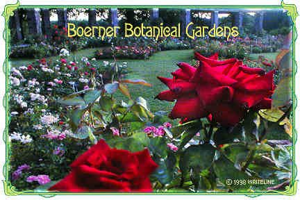 All images Copyright &copy; 1997 - 2000 WriteLine. All Rights Reserved. Rose Garden