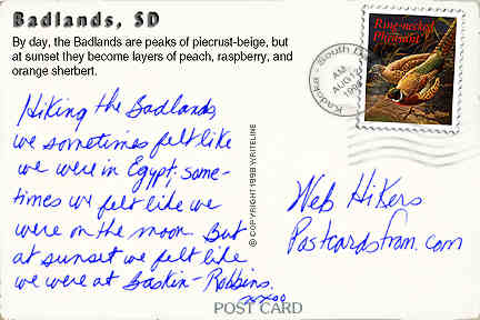 All images Copyright &copy; 1997 - 2000 WriteLine. All Rights Reserved. Ring-necked Pheasant bird postage stamp