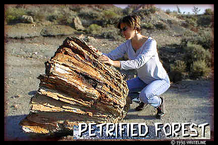 All images Copyright &copy; 1997 - 2000 WriteLine. All Rights Reserved. pertrified tree