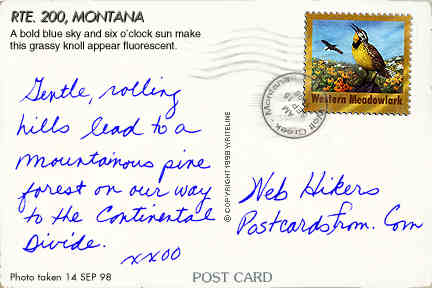All images Copyright &copy; 1997 - 2000 WriteLine. All Rights Reserved. Western Meadowlark bird stamp