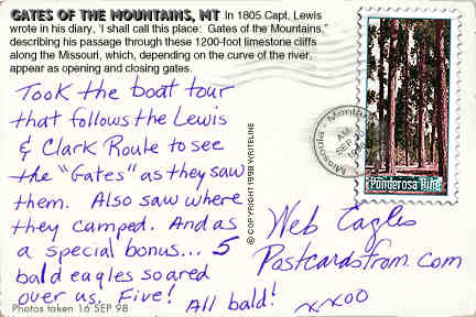 All images Copyright &copy; 1997 - 2000 WriteLine. All Rights Reserved. Ponderosa Pine tree postage stamp