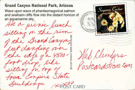 All images Copyright &copy; 1997 - 2000 WriteLine. All Rights Reserved. Saguaro Cactus