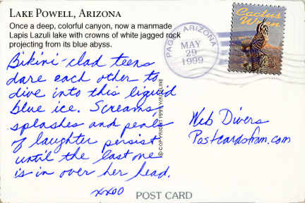 All images Copyright &copy; 1997 - 2000 WriteLine. All Rights Reserved. Cactus Wren