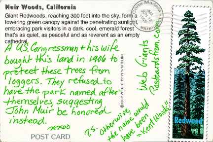All images Copyright &copy; 1997 - 2000 WriteLine. All Rights Reserved. Redwood