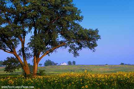 All images Copyright &copy; 1997 - 2000 WriteLine. All Rights Reserved. Homestead