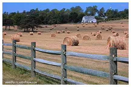 All images Copyright &copy; 1997 - 2000 WriteLine. All Rights Reserved. Hay field