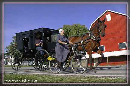All images Copyright &copy; 1997 - 2000 WriteLine. All Rights Reserved. Amish Horse and Buggy