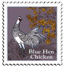 &copy; 2000 WriteLine. Blue Hen Chicken