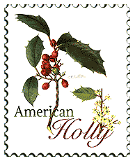 &copy; 2000 WriteLine. American Holly