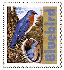 &copy; 1998 WriteLine. Bluebird