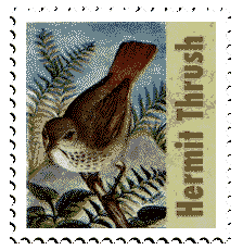 Copyright &copy; 1997 WriteLine. All Rights Reserved. Hermit Thrush stamp