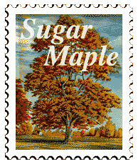Copyright &copy; 1997 WriteLine. All Rights Reserved. Sugar Maple