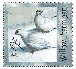 © 1999 WriteLine. Willow Ptarmigan