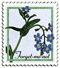 © 1999 WriteLine. Forget-me-not