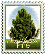 © 2000 WriteLine. Southern Pine