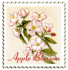 Copyright © 1998 WriteLine. All Rights Reserved. Apple blossom