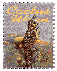 © 1999 WriteLine. Cactus Wren