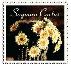 © 1999 WriteLine. Saquaro Cactus