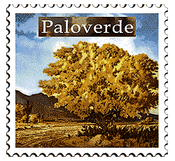 © 1999 WriteLine. Paloverde tree