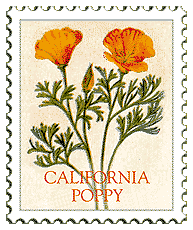 © 1999 WriteLine. Poppy