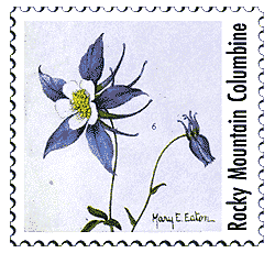 © 1999 WriteLine. Rocky Mountain Columbine