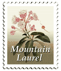 © 1997 WriteLine. Mountain Laurel
