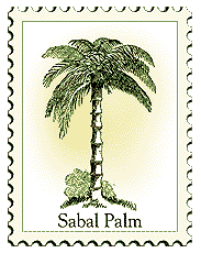 © 2000 WriteLine. Sabal Palm