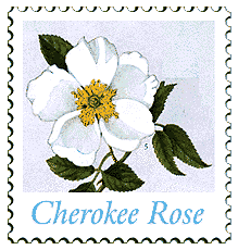© 2000 WriteLine. Cherokee Rose