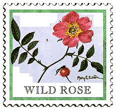 © 1999 WriteLine. Wild Rose