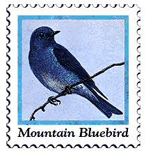 Copyright © 1998 WriteLine. All Rights Reserved. Mountain Bluebird stamp
