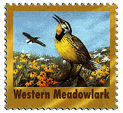© 1998 WriteLine. Western Meadowlark