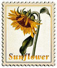© 1999 WriteLine. Sunflower
