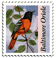 © 2000 WriteLine. Baltimore Oriole