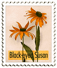 © 2000 WriteLine. Black-eyed Susan