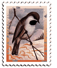 Copyright © 1997 WriteLine. All Rights Reserved. Chickadee