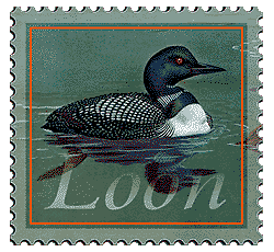 Copyright © 1998 WriteLine. All Rights Reserved. Loon bird