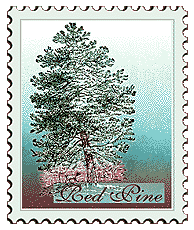 Copyright © 1998 WriteLine. All Rights Reserved. Red Pine tree
