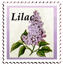 Copyright © 1997 WriteLine. All Rights Reserved. flower Purple Lilac