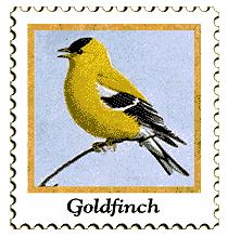 © 1998 WriteLine. Goldfinch