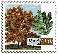 © 1999 WriteLine. Red Oak tree