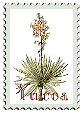 Copyright © 1998 WriteLine. All Rights Reserved. Yucca plant stamp